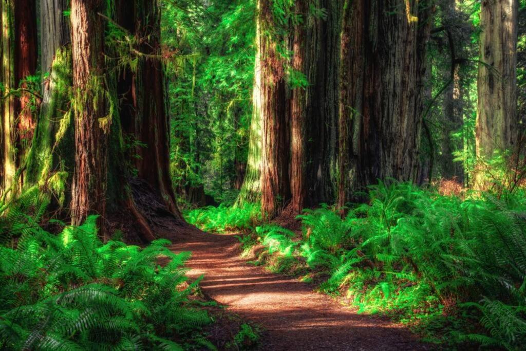 Bear Mountain - Suite 6 Grants Pass Ngoại thất bức ảnh